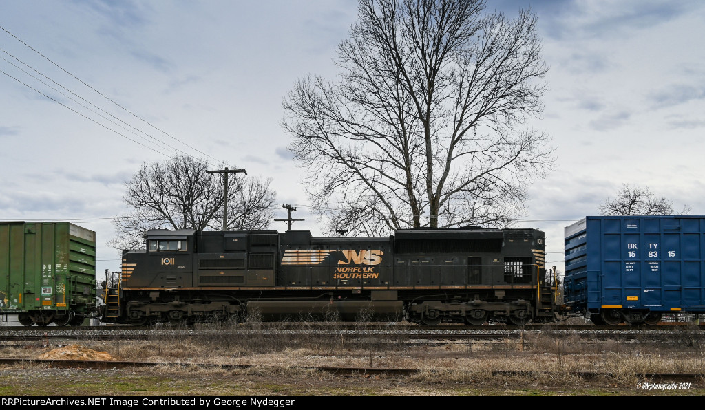 NS 1011